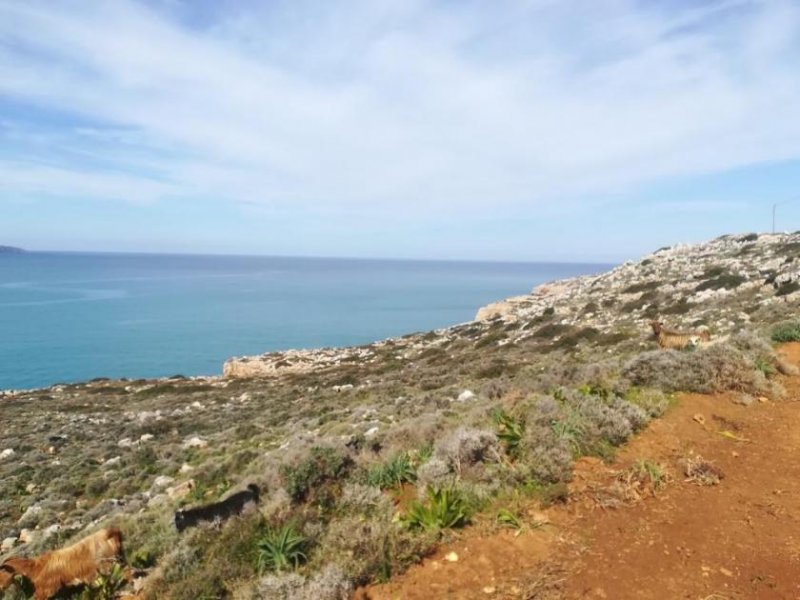 Kokkino Chorio Hervorragendes Grundstück am Meer für gewerbliche Investitionen auf Kreta Grundstück kaufen